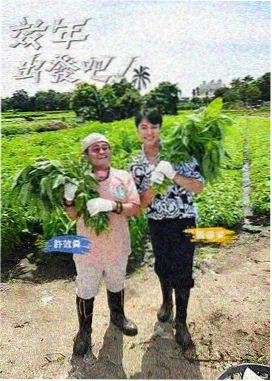 百度r星新玩法揭秘